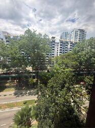 Blk 86 Whampoa Spring (Toa Payoh), HDB 3 Rooms #595880831